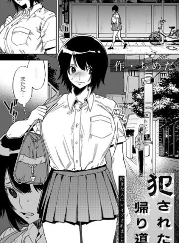 【漫画raw】犯●れた帰り道（単話）(b257bdmmg01307)